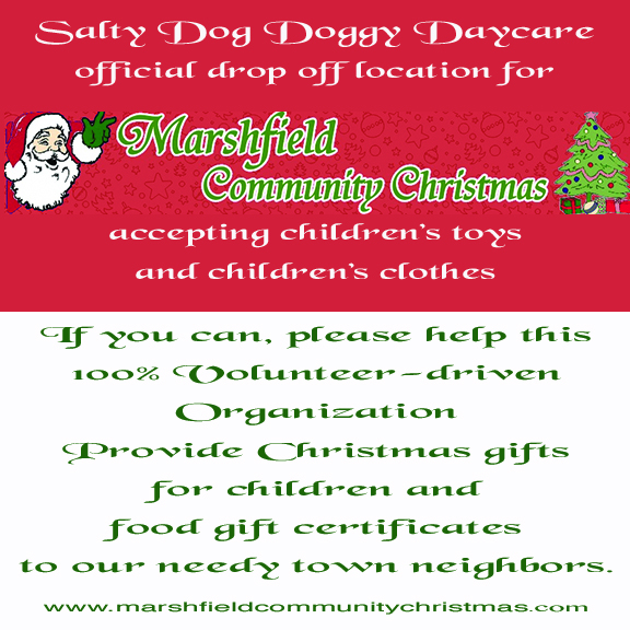marshfield community christmas